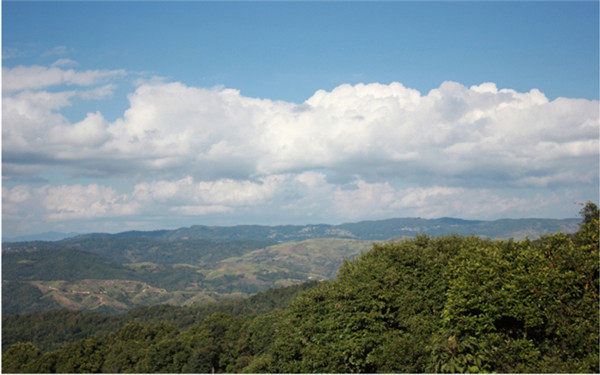 133R46304-0.jpg