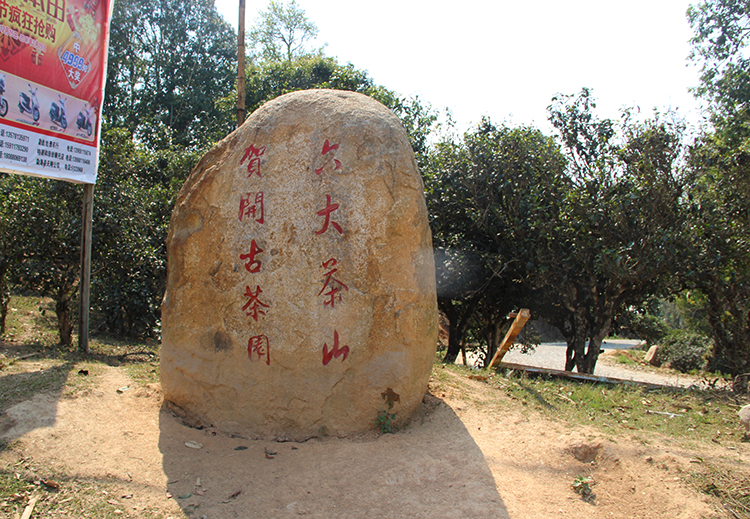 布朗山賀開(kāi)古茶園