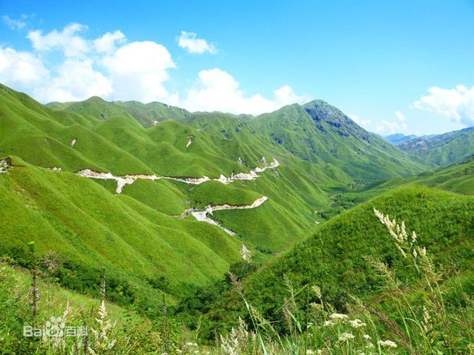 云南臨滄雙江勐庫大雪山