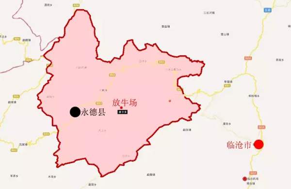 臨滄永德十二古茶園：班卡鄉放牛場古茶園