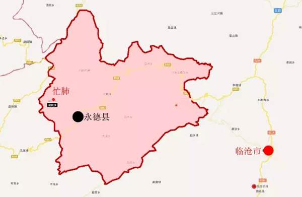 臨滄永德十二古茶園：勐板鄉忙肺古茶園