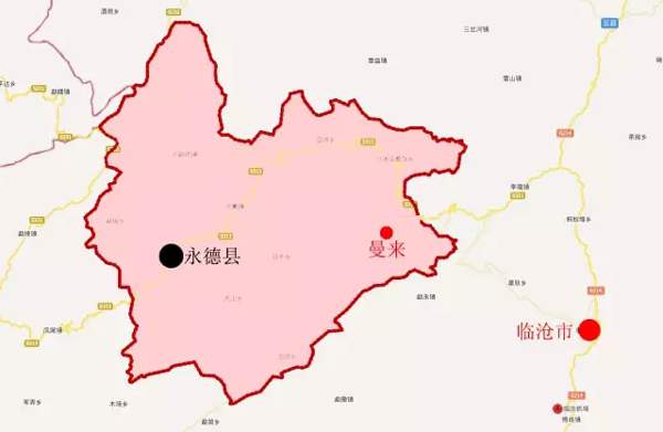 臨滄永德十二古茶園：大雪山鄉曼來古茶園