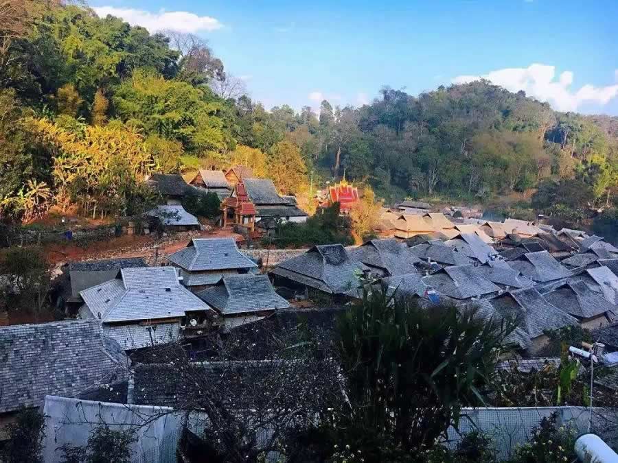 山野茶風，游走景邁,景邁大寨最出名的古樹茶園