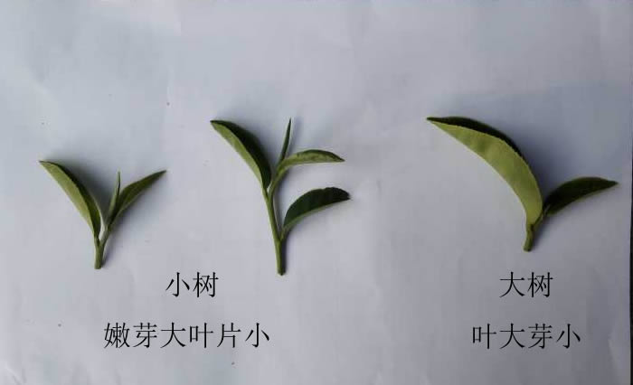 v2-9b0faa4672b054db5b139467b0a5a94b_720w.jpg