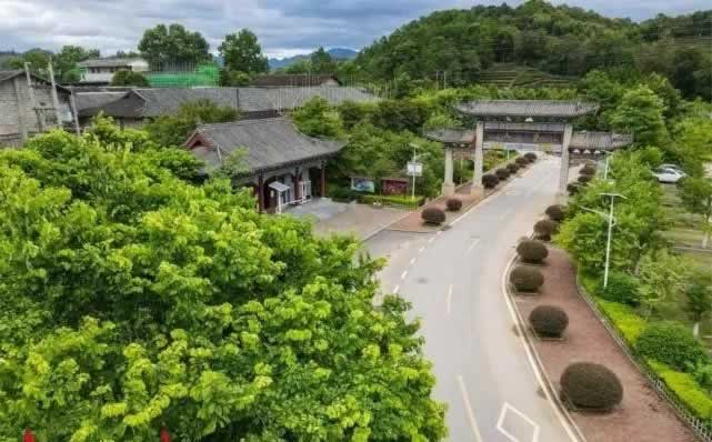 六堡茶核心產區發揮“三原”優勢發展茶產業觀察