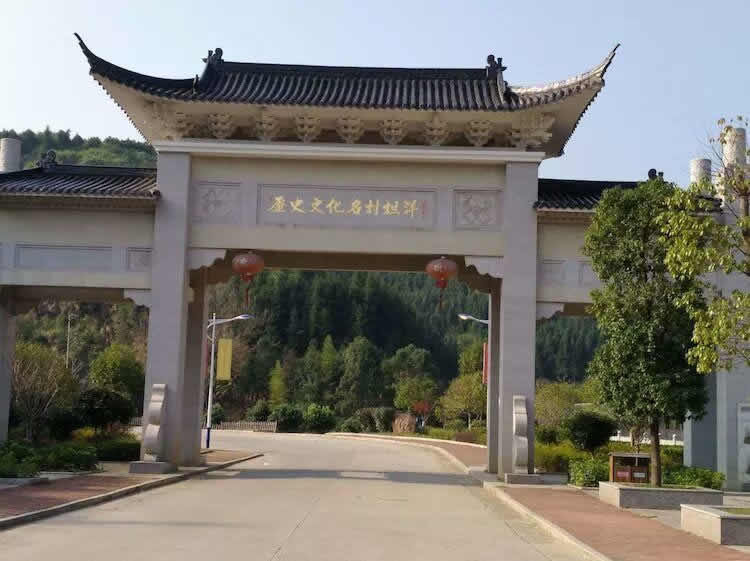 福建坦洋村：發展茶產業 助力鄉村振興