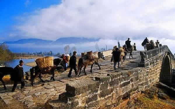中國著名的古代茶馬古道有幾條？